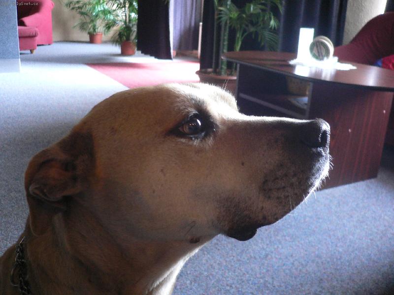 Foto: Sanina-nejhodn�j�� na sv�t� !!!