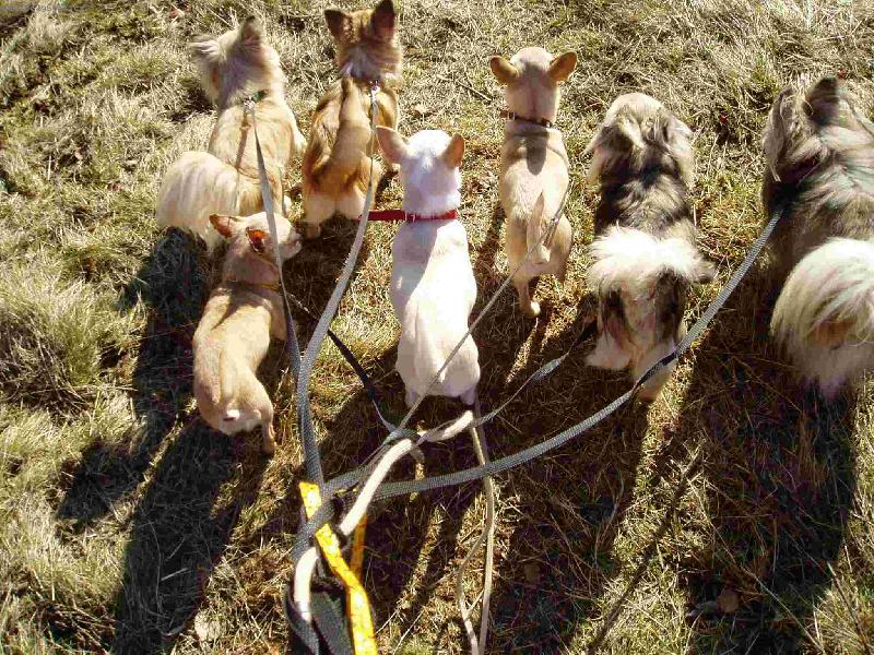 Foto: �ivav� prdelky