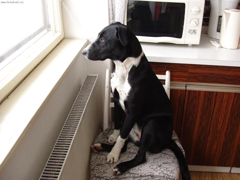 Foto: ��la-pro� st�t, kdy� mu�u sed�t