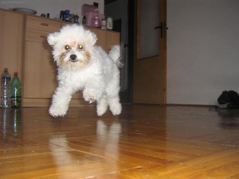 Foto: Let���m-A pak �e l�t� jenom to, co m� pe��