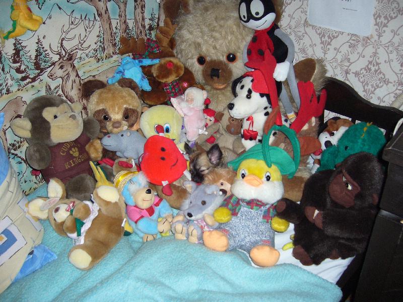 Foto: Kde som?-�ivko spink�