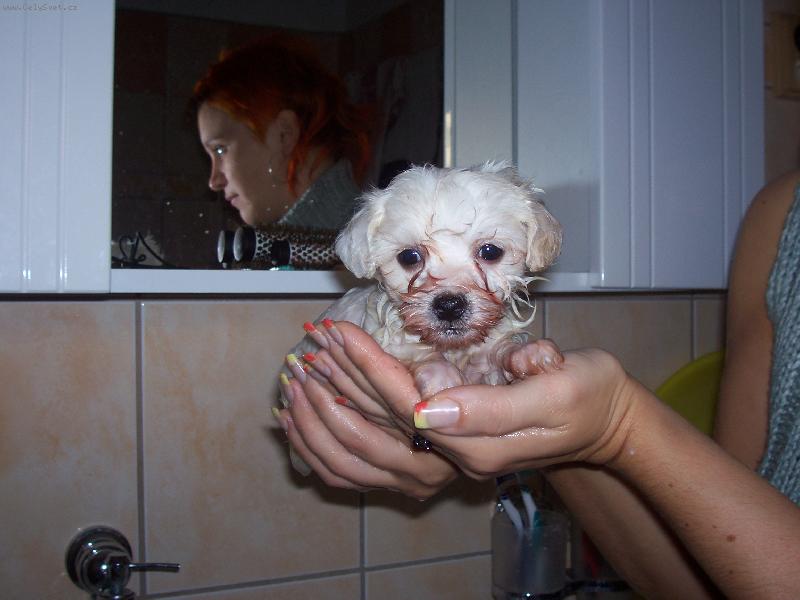 Foto: Time�ek z Broumova-Na�e prvn� koup�n� nov�ho �lena rodiny