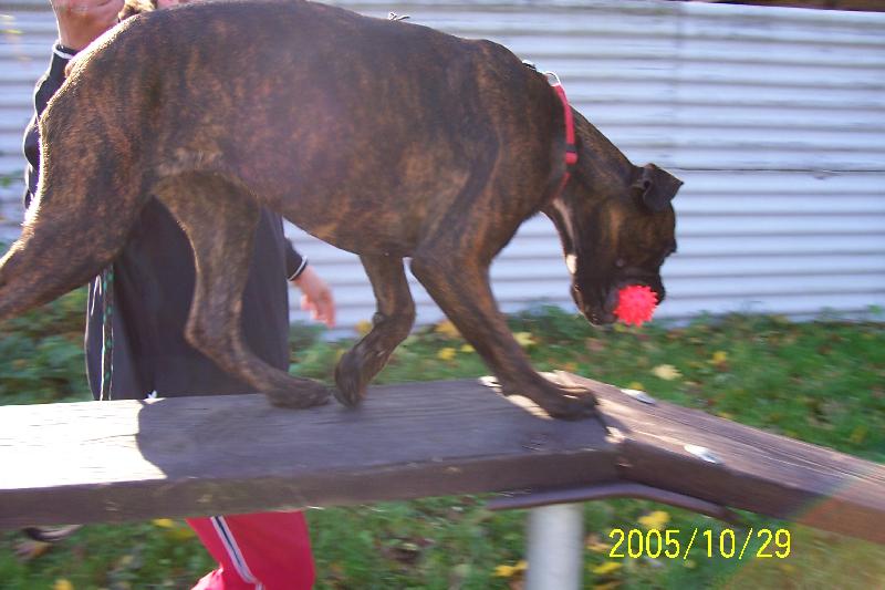 Foto: Megulka-cvi�en� se sv�m p�n��kem m�m r�da