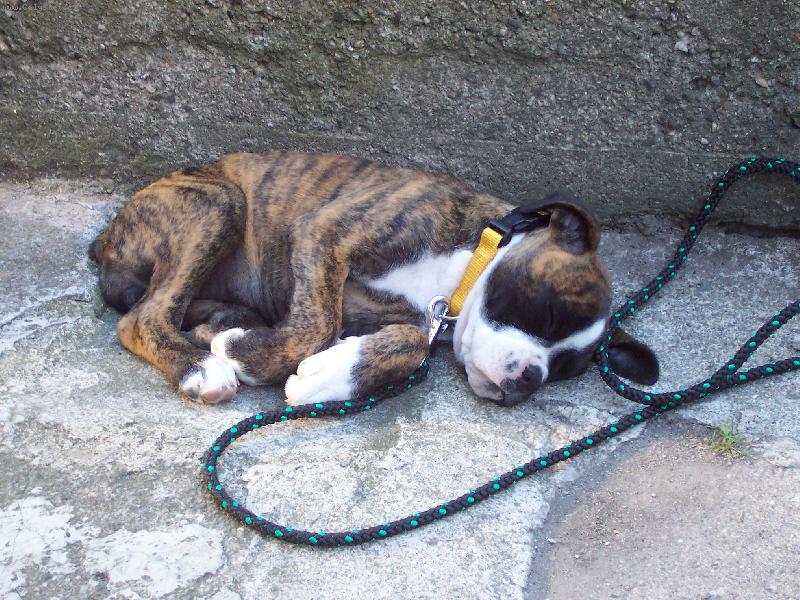 Foto: �pln� prvn� fotka tro�ku unaven� Elinky