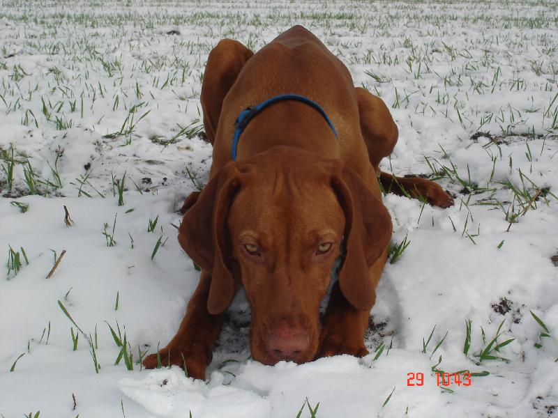 Foto: m�j prvn� sn�ek ...