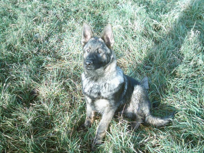 Foto: Bar-4 m�s�ce-novoro�n� proch�zka