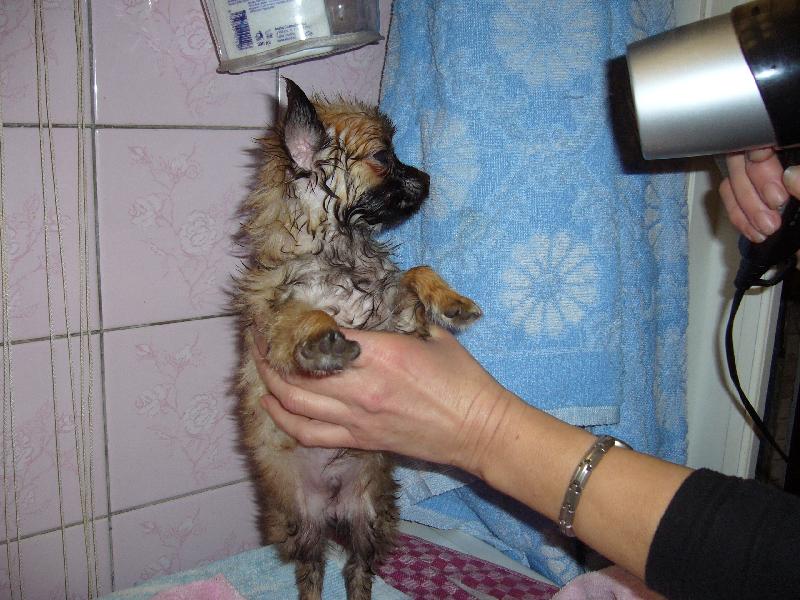 Foto: �ivko sa su��-�ivkove prv� k�panie