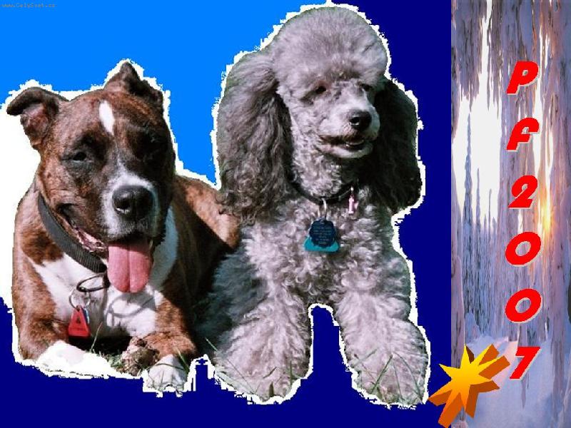 Foto: PF 2007-Hezk� cel� rok 2007 !