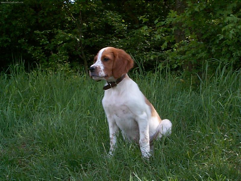 Foto: mal�-lovit odhodl�na-IRWS