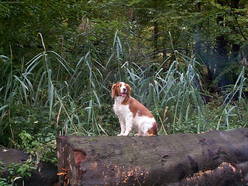 Foto: WSS-Dughie z O�kovskej Doliny