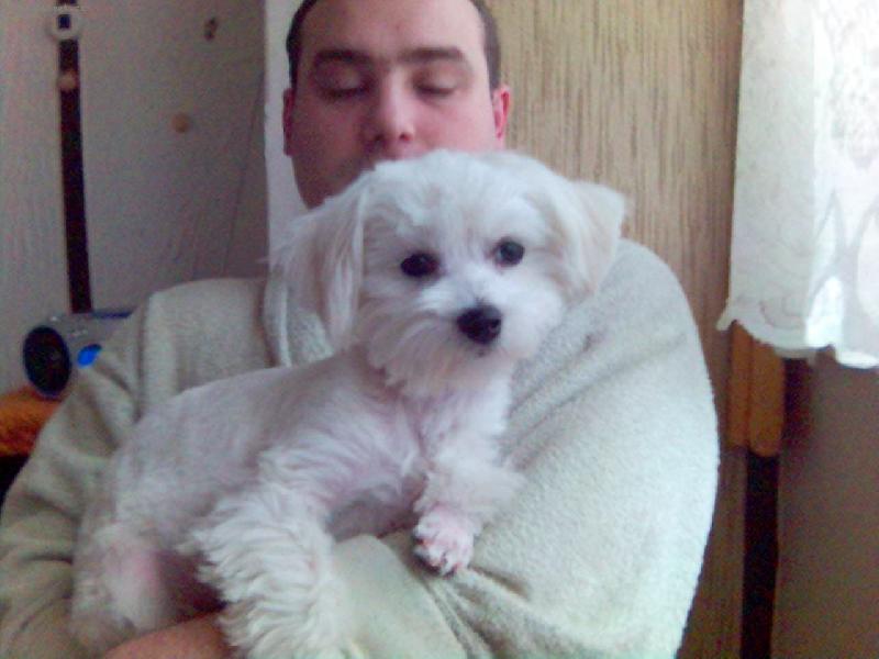 Foto: Nelli-toto je moje malinka ro�tanda je ji pul rocku