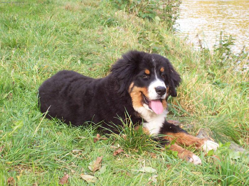 Foto: siesta v tr�v�