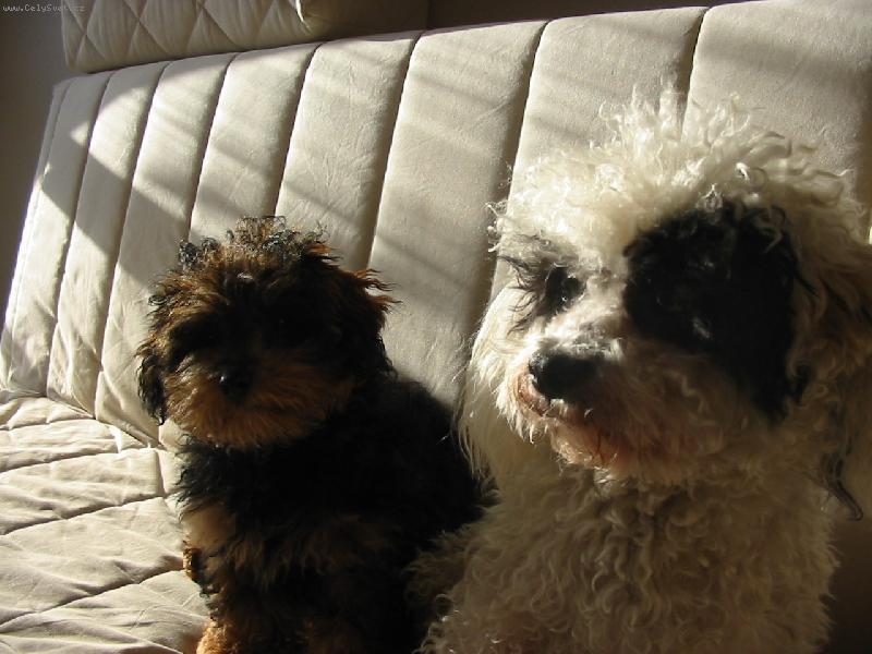 Foto: Gau�ov� pohoda-�t���tko Rony a maz�k Denis