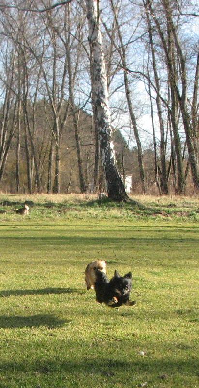 Foto: Bar�a s Alvou z T�eba�sk�ho �dol� v letu-l�taj�c� �ivavy