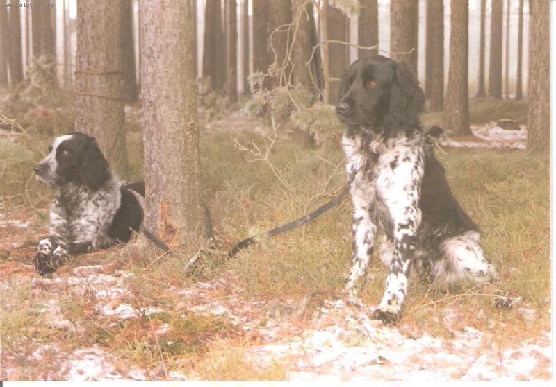 Foto: Kim od Star� vsi+Or z L�ck�ho bo��