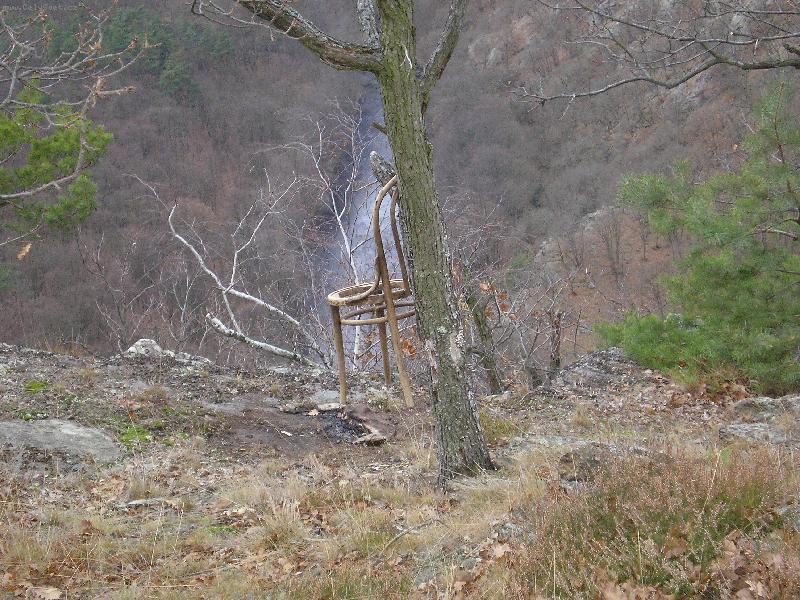 Foto: seslik v Narodnim parku Podyj�-seslik na strom�