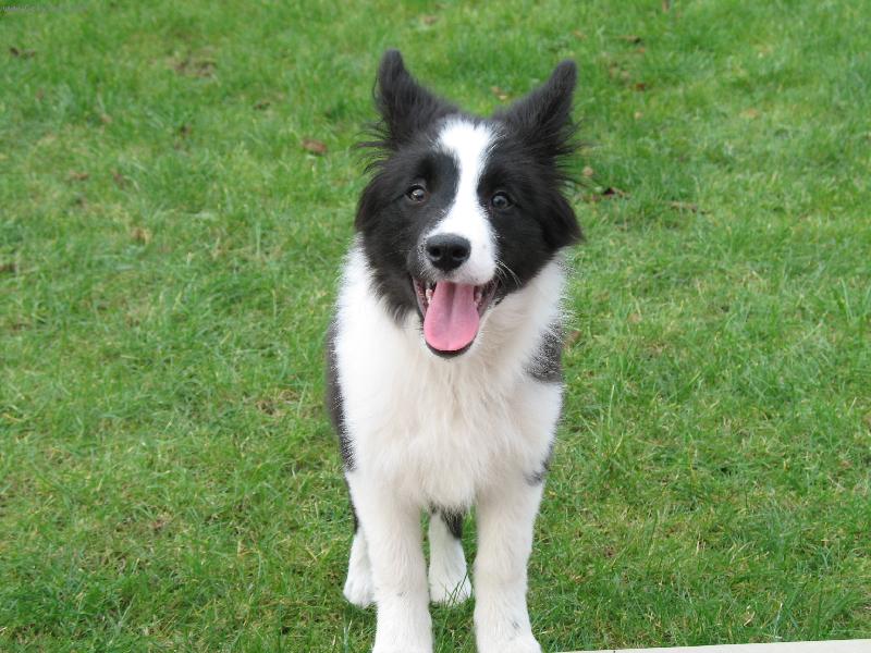 Foto: �sm�v, pros�m