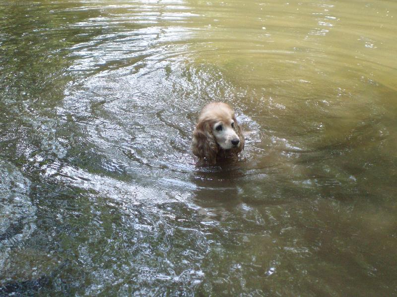 Foto: to jsem si p�kn� zaplavala-odpoledn� koup�n�