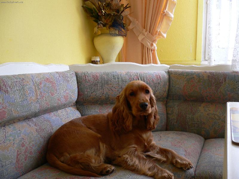 Foto: kessinka-To je pohoda