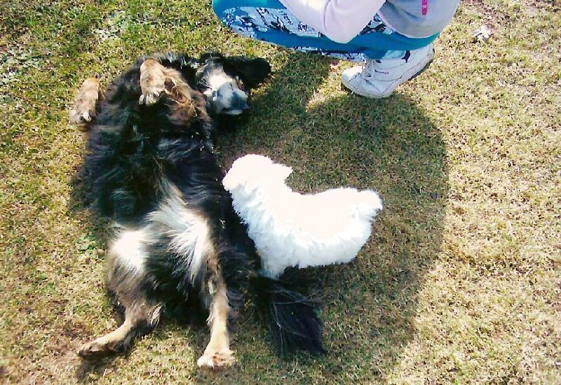 Foto: na�e dv� holky-...to m�m ale velikou k�mo�ku...