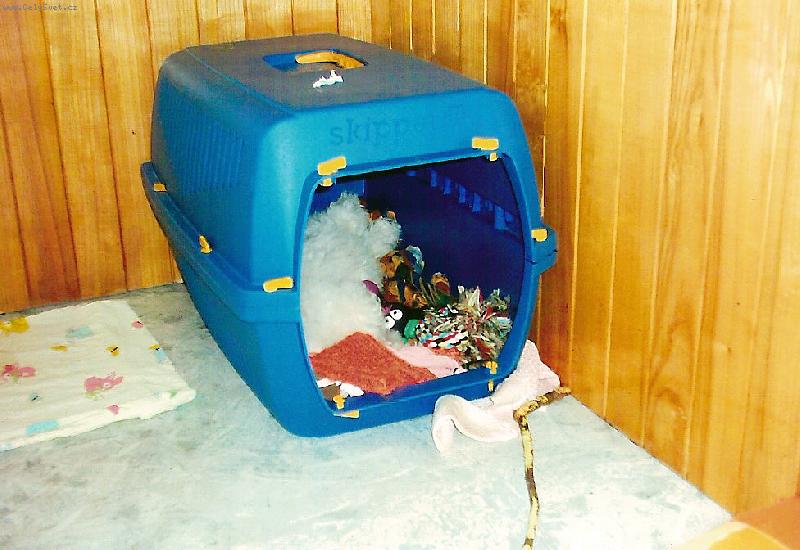 Foto: m�j kutloch-to je m� kr�lovstv�,m�m ho i cestovn�...