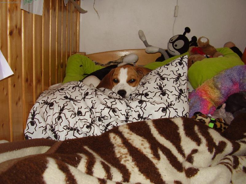 Foto: En-En�a sp�