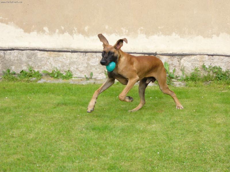 Foto: Enzo Rendog-To by bylo abych nevzl�t...