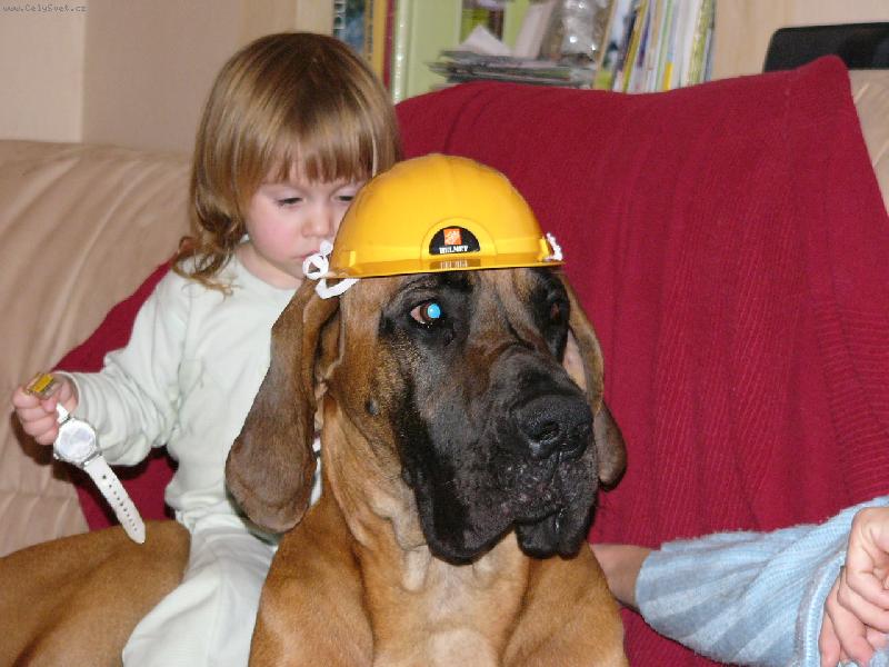 Foto: Enzo Rendog-Nov� Bo�ek stavitel? Sp� ni�itel...