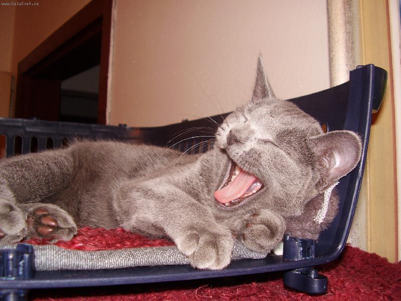 Foto: Pro� m� bud�te?-Filinka