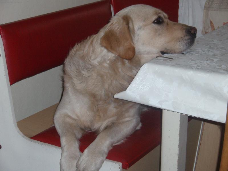 Foto: u babi�ky...-....tam se mi v�dycky fain relaxuje!