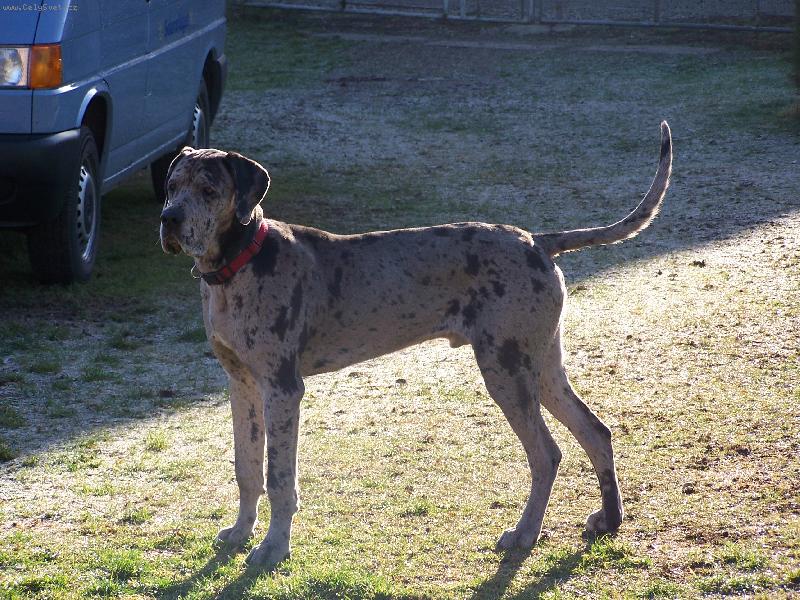 Foto: Igorek-��kaj� mi Igr�ku