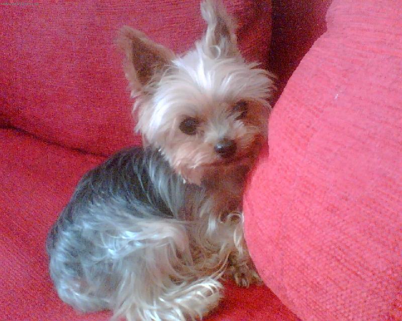 Foto: Kikinka z �st� nad Labem-Kikinka z �st� nad Labem