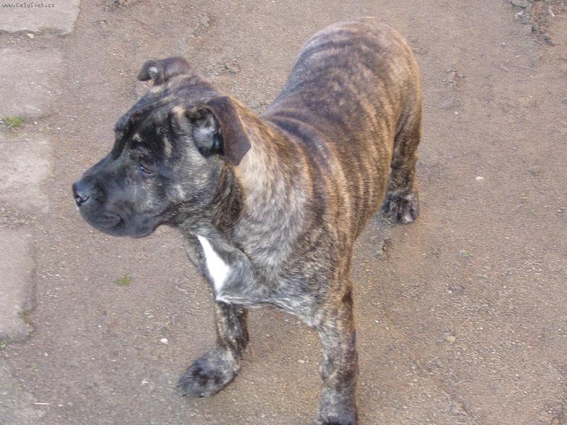 Foto: Corty-nar. 23.9.2006