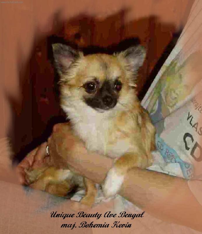 Foto: Unique Beauty A.B.-Zamy�len� Beru�ka