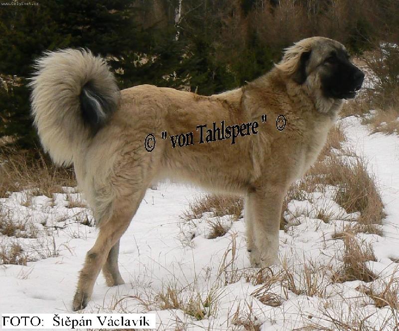 Foto: Areta Kreutzweg von Tahlspere - 9. m�s�c v�ku-Leto�n� prvn� sn�hov� radov�nky 2007