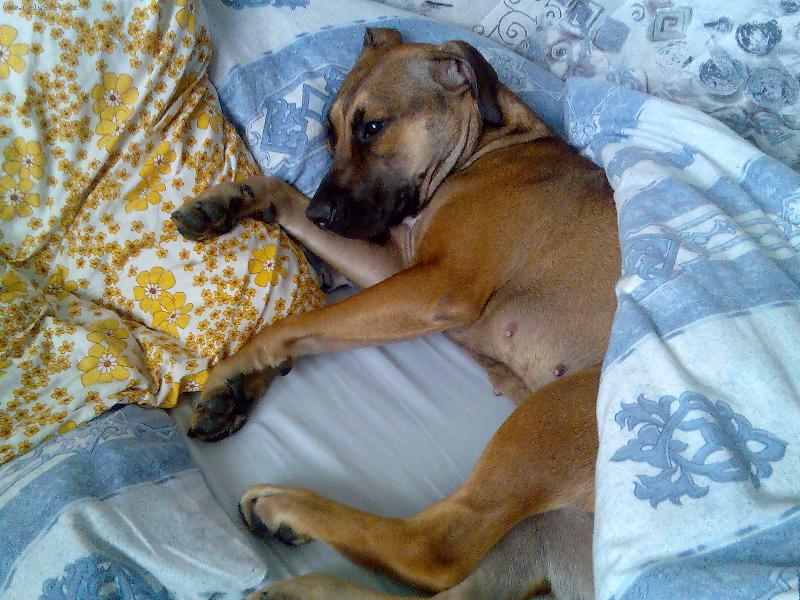 Foto: Corina pohod��ka-Takhle si to u��v�.