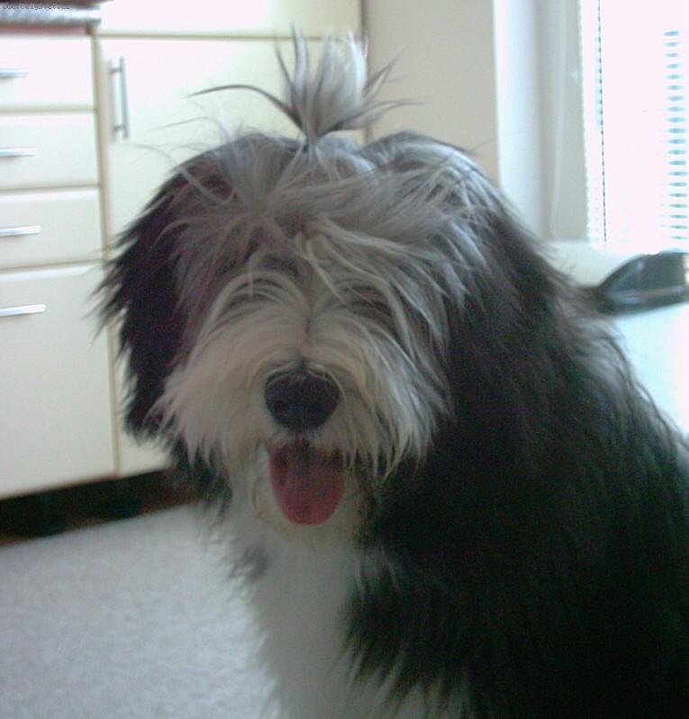 Foto: miminko-to mi bylo 6 m�s�c�