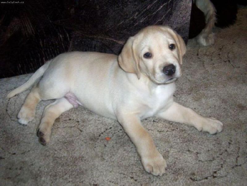 Foto: N� nov� �len rodiny-Max�k