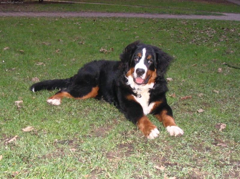 Foto: Astor Polepsk� �dol�-7 m�s�c�