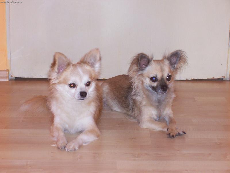 Foto: Kerina a Denis n� p�re�ek-Furt spolu