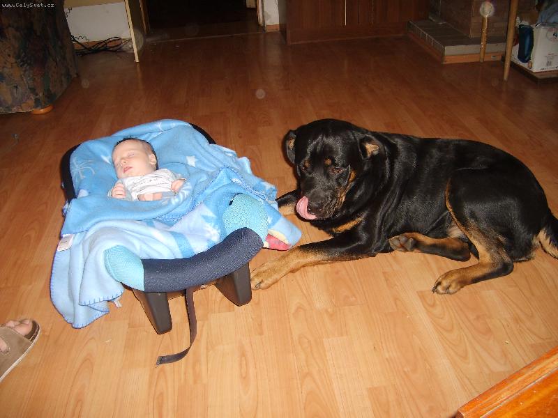 Foto: dal bych si...tu sekanou,co m� na b��ku