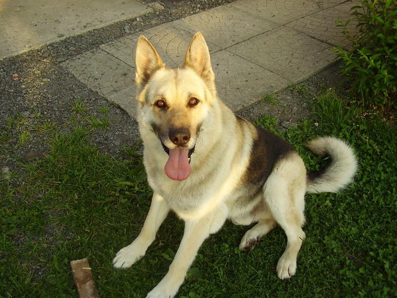 Foto: N� Bad-Ne�prosn� hl�da�