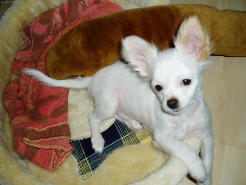 Foto: N� kr�sny mal� chlp��ik-:o) Ako model :o)