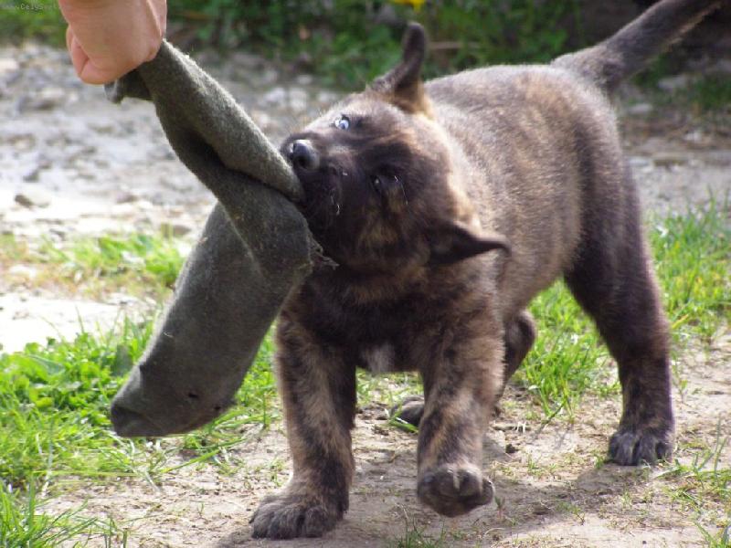 Foto: Bar Canto aus M�hrischen Bergen