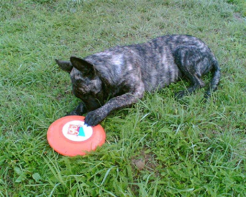 Foto: Bady Rolf aus M�hrischen Bergen