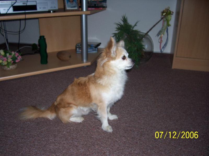 Foto: Denisek-N� zaslou�il� t�t�