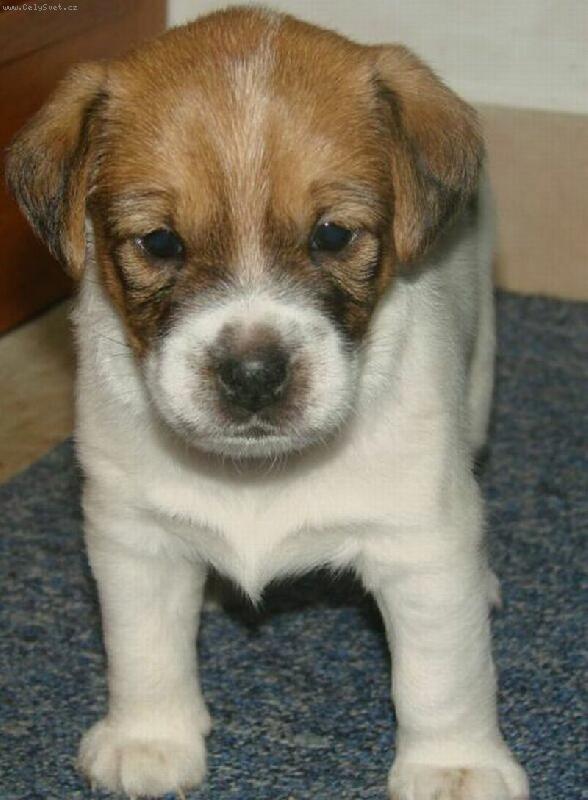 Foto: Armie - na�e �t���tko-Na focen� se mus�m po��dn� postavit.