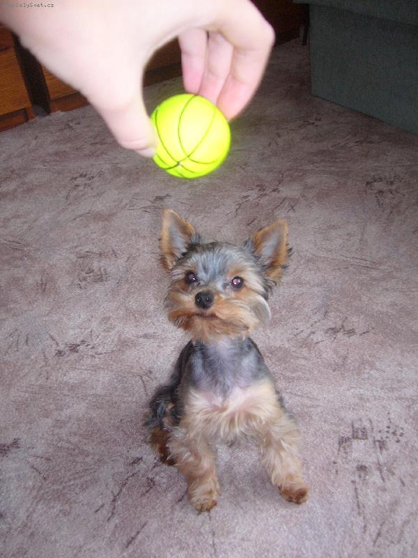 Foto: das mi ten micek!!!!