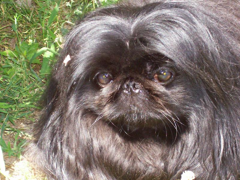 Foto: Na�e Megynka-Miluju b�t s p�n��kama na zahr�dce.