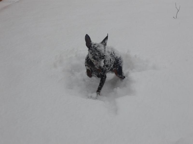 Foto: sn�n� bub�k